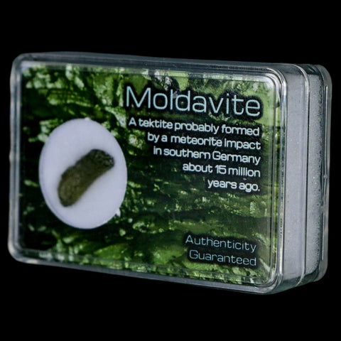 Moldavite Tektite Green Glass Meteorite Specimen Southern Germany Display - Fossil Age Minerals