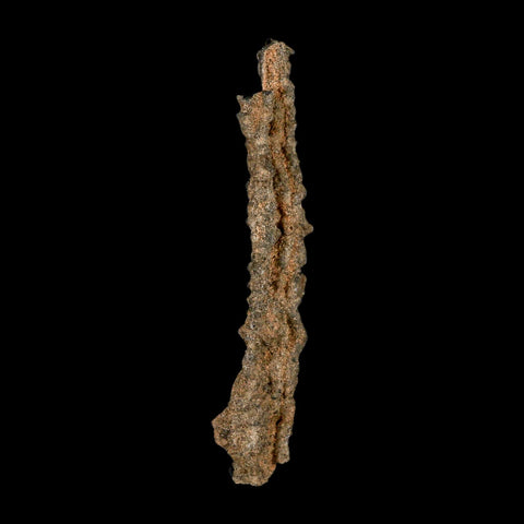 XL 4.9" Fulgurite Petrified Lighting Strike Glass Sahara Desert Algeria - Fossil Age Minerals