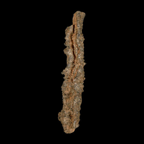 XL 4.9" Fulgurite Petrified Lighting Strike Glass Sahara Desert Algeria - Fossil Age Minerals