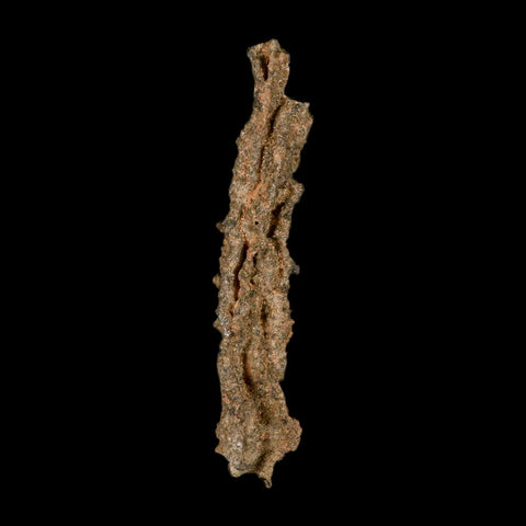 XL 4.9" Fulgurite Petrified Lighting Strike Glass Sahara Desert Algeria - Fossil Age Minerals