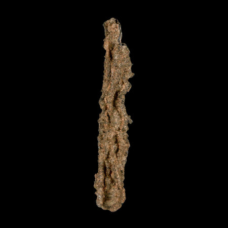 XL 4.9" Fulgurite Petrified Lighting Strike Glass Sahara Desert Algeria