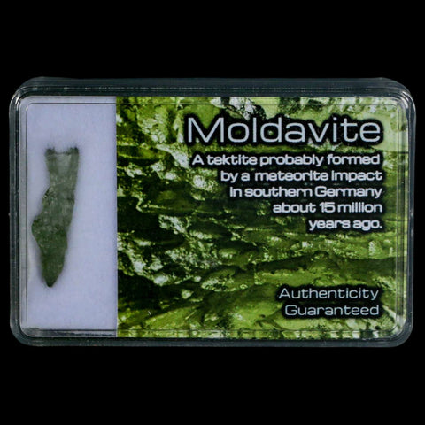 Moldavite Tektite Green Glass Meteorite Specimen Southern Germany Display - Fossil Age Minerals