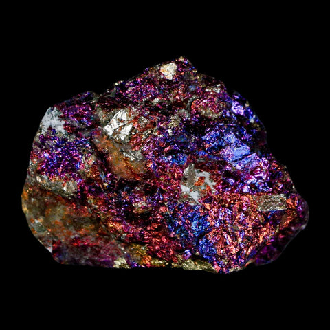 2" Chalcopyrite Bornite Brilliant Multicolored Peacock Ore Chihuahua Mexico - Fossil Age Minerals