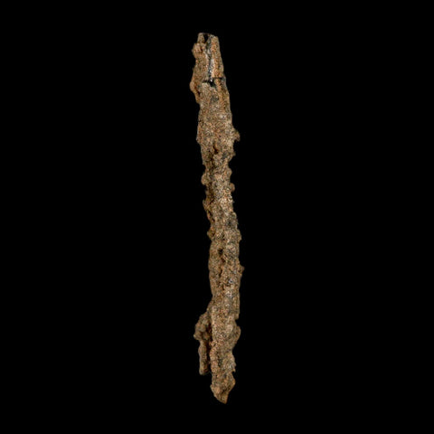 XL 4.9" Fulgurite Petrified Lighting Strike Glass Sahara Desert Algeria - Fossil Age Minerals