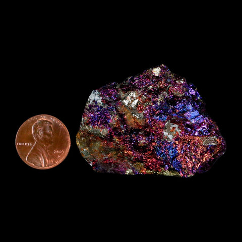 2" Chalcopyrite Bornite Brilliant Multicolored Peacock Ore Chihuahua Mexico - Fossil Age Minerals