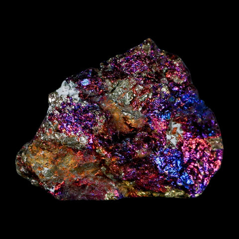 2" Chalcopyrite Bornite Brilliant Multicolored Peacock Ore Chihuahua Mexico - Fossil Age Minerals