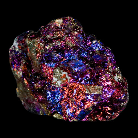 2" Chalcopyrite Bornite Brilliant Multicolored Peacock Ore Chihuahua Mexico - Fossil Age Minerals