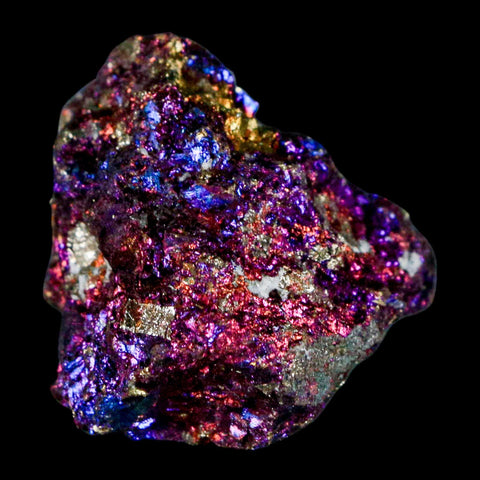 2" Chalcopyrite Bornite Brilliant Multicolored Peacock Ore Chihuahua Mexico - Fossil Age Minerals