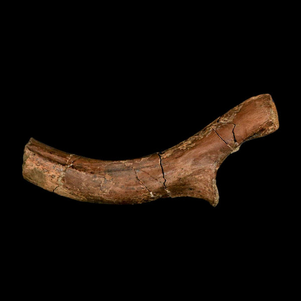 4.6