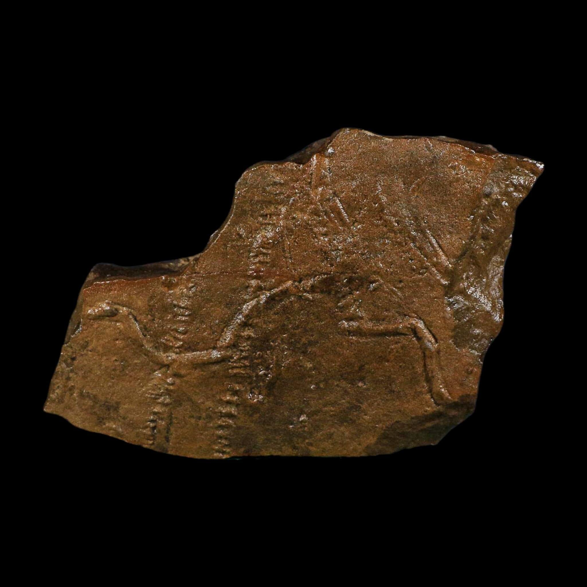 4.6" Trilobite Trackway Cruziana Plate Fossil Ordovician Age Ouzina Morocco - Fossil Age Minerals