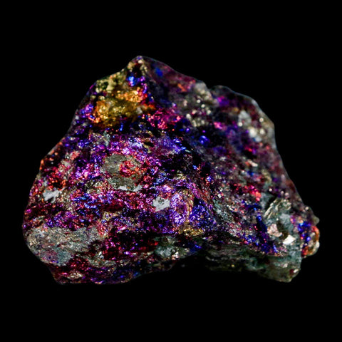 2" Chalcopyrite Bornite Brilliant Multicolored Peacock Ore Chihuahua Mexico - Fossil Age Minerals