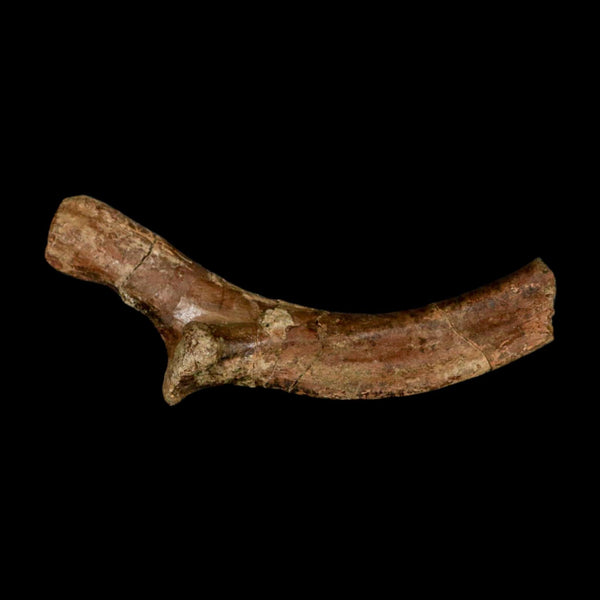 4.6