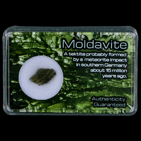 Moldavite Tektite Green Glass Meteorite Specimen Southern Germany Display - Fossil Age Minerals