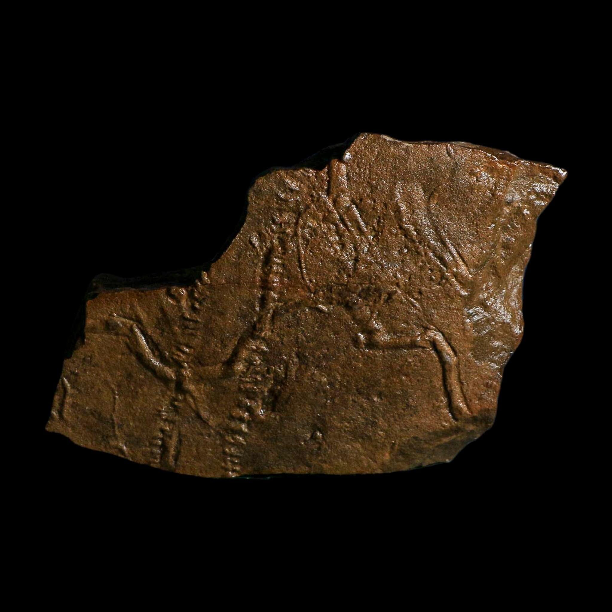 4.6" Trilobite Trackway Cruziana Plate Fossil Ordovician Age Ouzina Morocco - Fossil Age Minerals