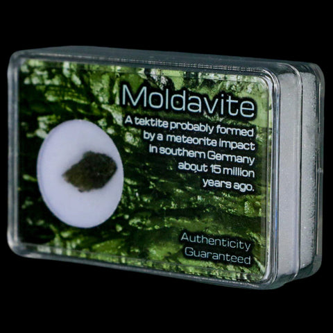 Moldavite Tektite Green Glass Meteorite Specimen Southern Germany Display - Fossil Age Minerals