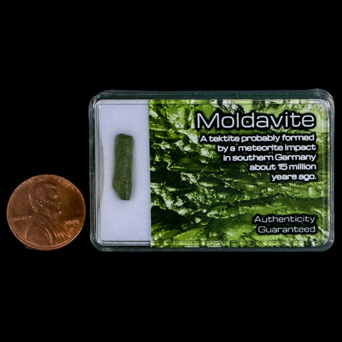 Moldavite Tektite Green Glass Meteorite Specimen Southern Germany Display - Fossil Age Minerals