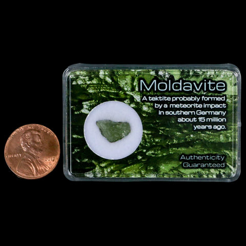 Moldavite Tektite Green Glass Meteorite Specimen Southern Germany Display - Fossil Age Minerals