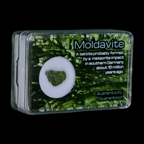 Moldavite Tektite Green Glass Meteorite Specimen Southern Germany Display - Fossil Age Minerals