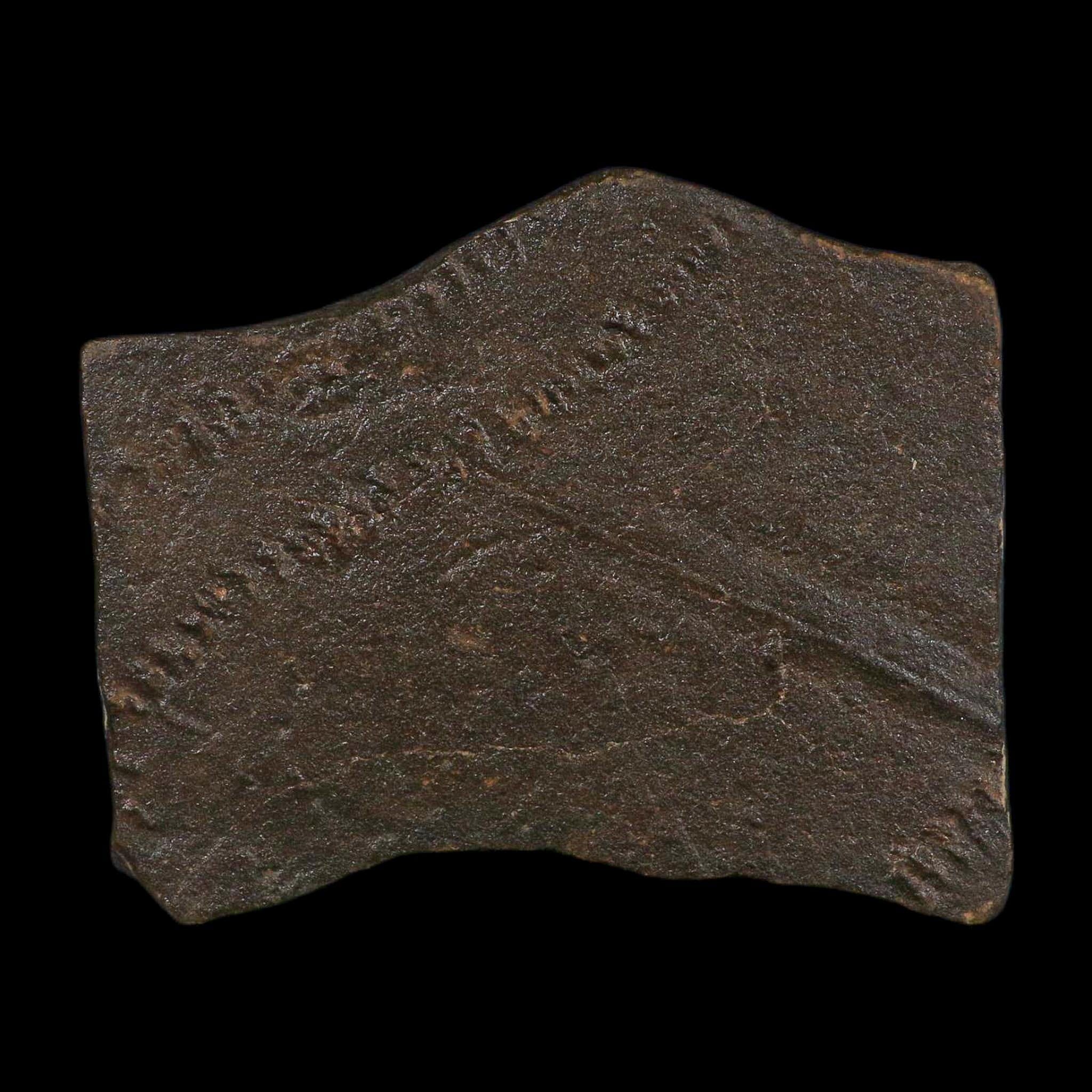 3.8" Trilobite Trackway Cruziana Plate Fossil Ordovician Age Ouzina Morocco - Fossil Age Minerals