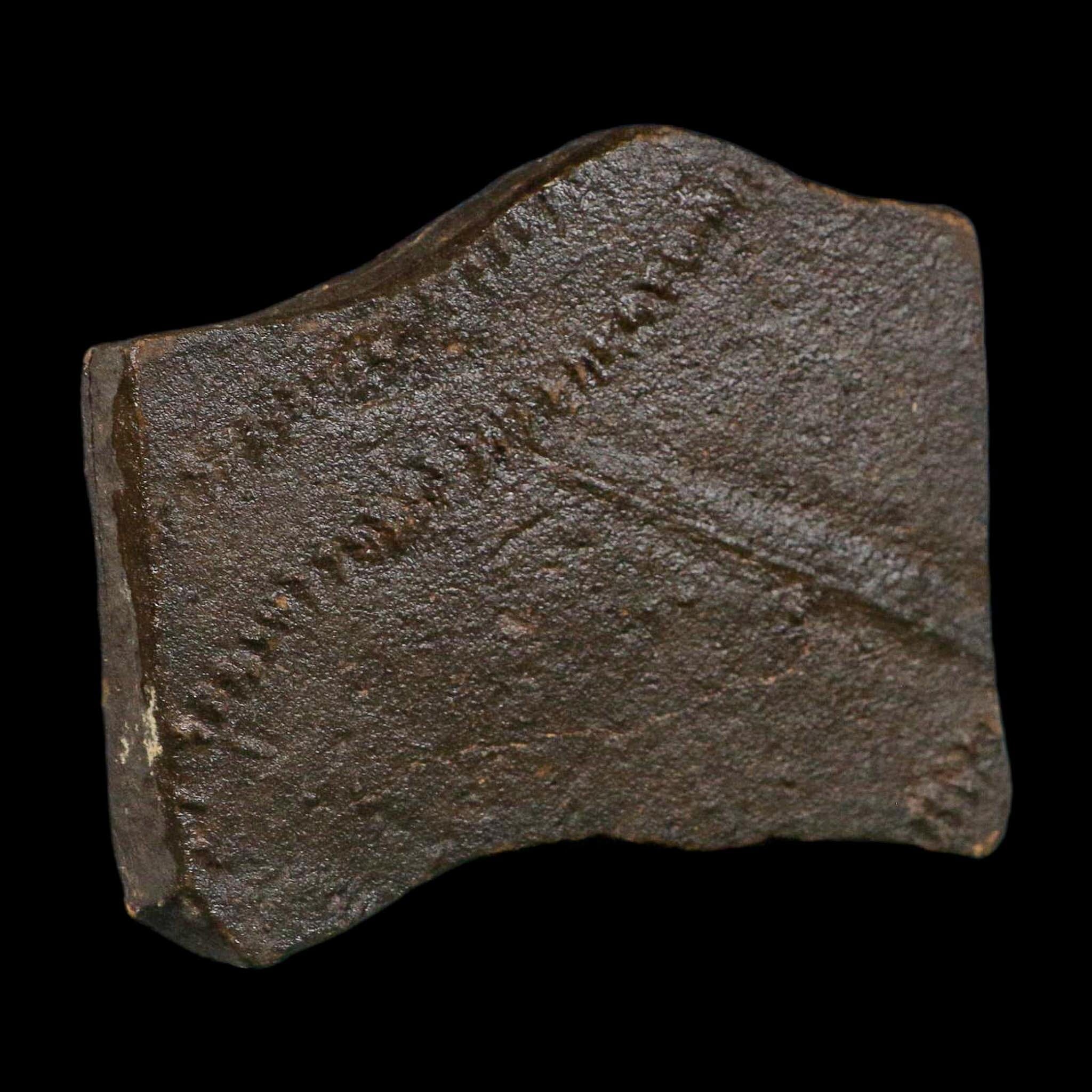 3.8" Trilobite Trackway Cruziana Plate Fossil Ordovician Age Ouzina Morocco - Fossil Age Minerals