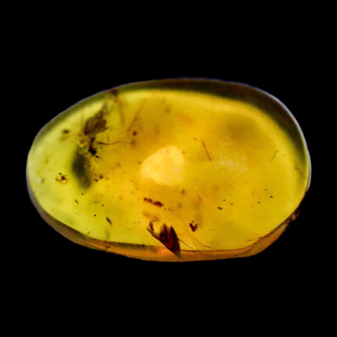 Burmese Insect Amber Diptera Mosquito Fly Fossil Cretaceous Bermite Dinosaur Age - Fossil Age Minerals