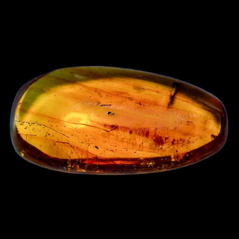 Burmese Insect Amber Unknown Flying Fossil Cretaceous Bermite Dinosaur Age - Fossil Age Minerals