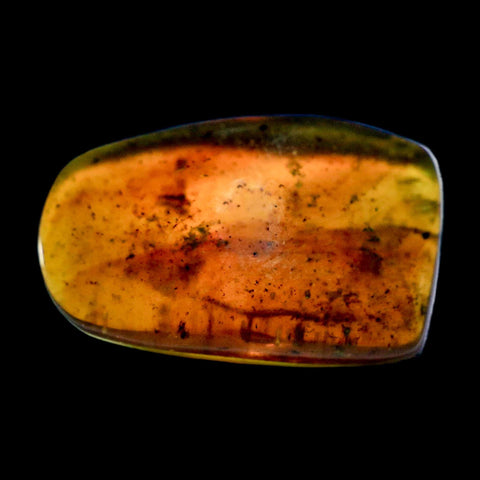 Burmese Insect Amber Diptera Mosquito Fly Fossil Cretaceous Bermite Dinosaur Age - Fossil Age Minerals