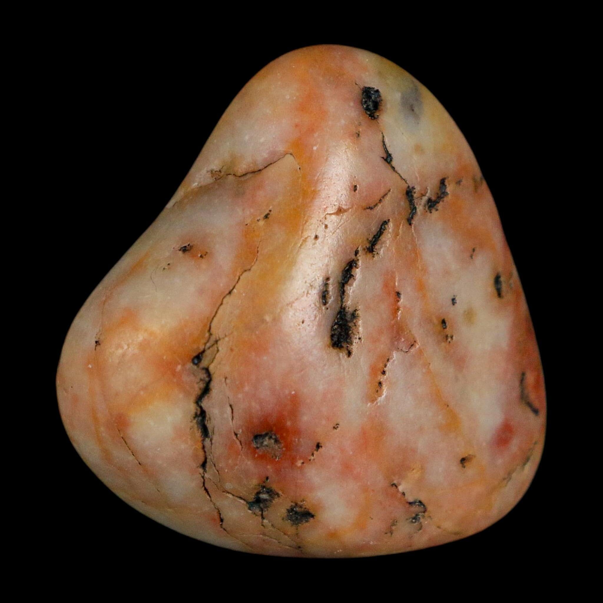 1.3" Sauropod Dinosaur Stomach Stone Gastrolith Rock Gizzard Stone COA - Fossil Age Minerals