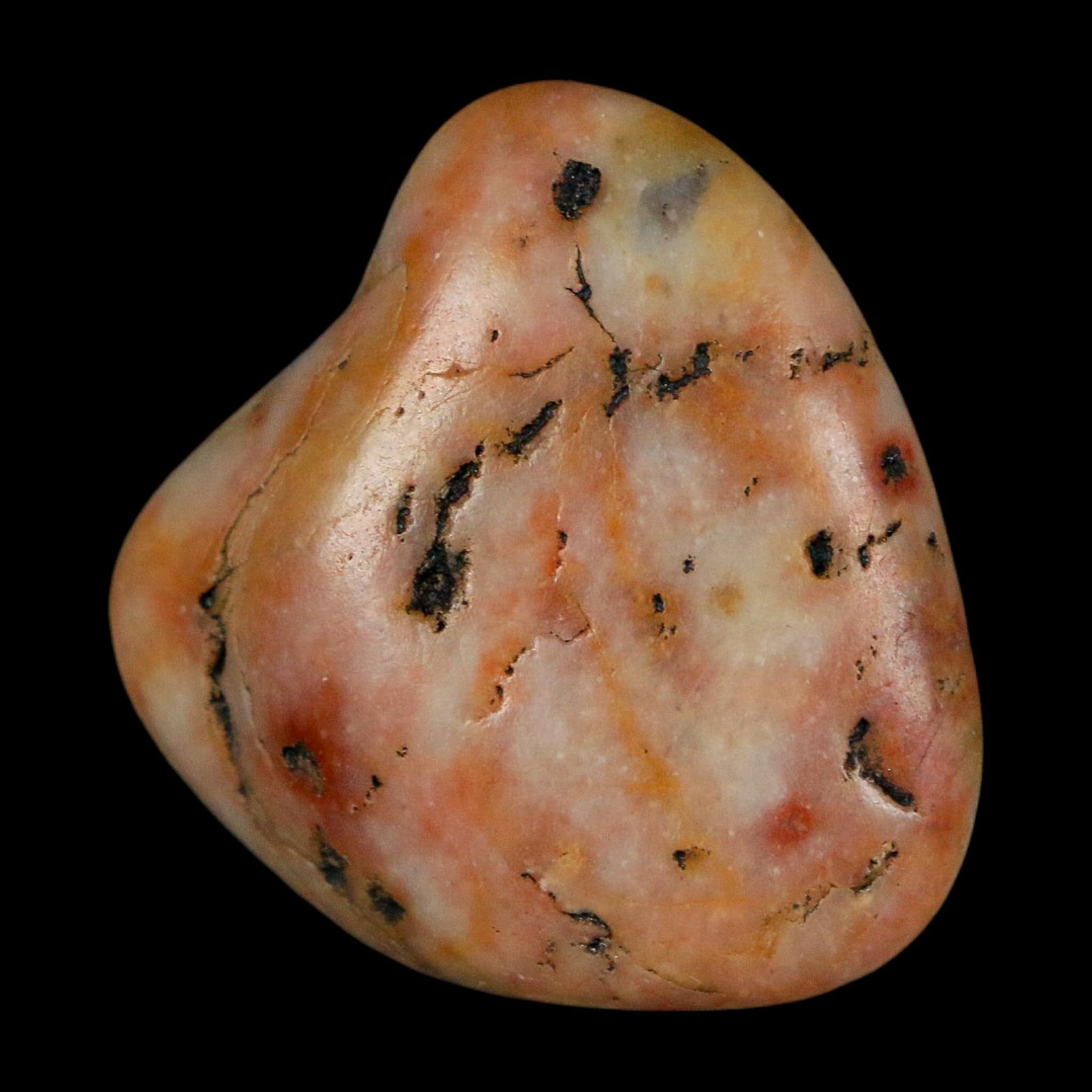 1.3" Sauropod Dinosaur Stomach Stone Gastrolith Rock Gizzard Stone COA - Fossil Age Minerals