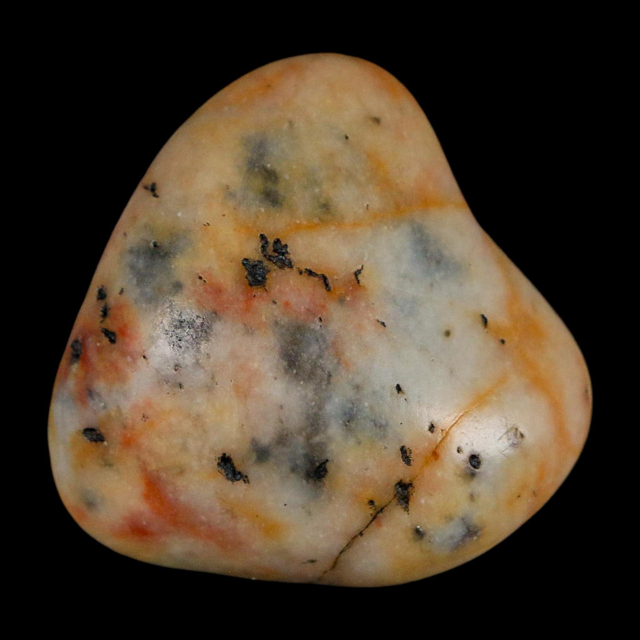 1.3" Sauropod Dinosaur Stomach Stone Gastrolith Rock Gizzard Stone COA - Fossil Age Minerals