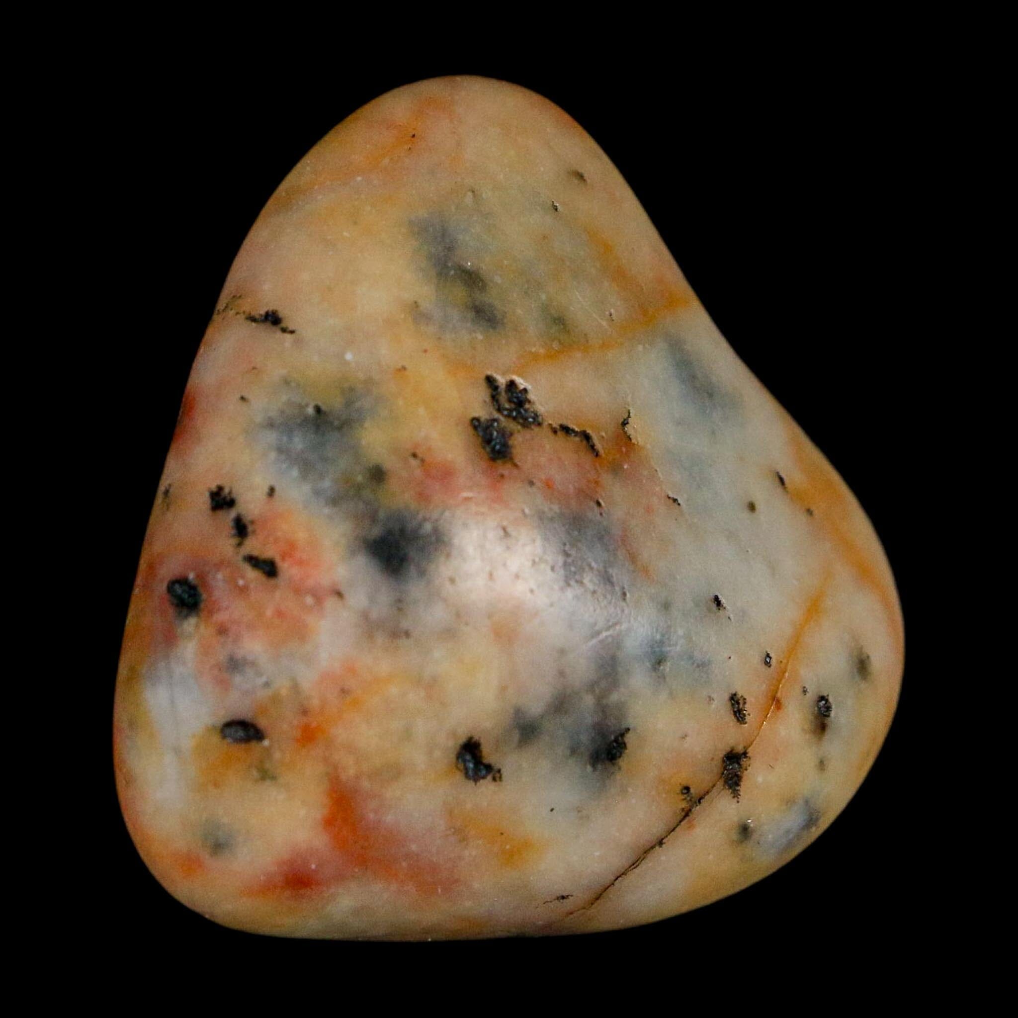 1.3" Sauropod Dinosaur Stomach Stone Gastrolith Rock Gizzard Stone COA - Fossil Age Minerals