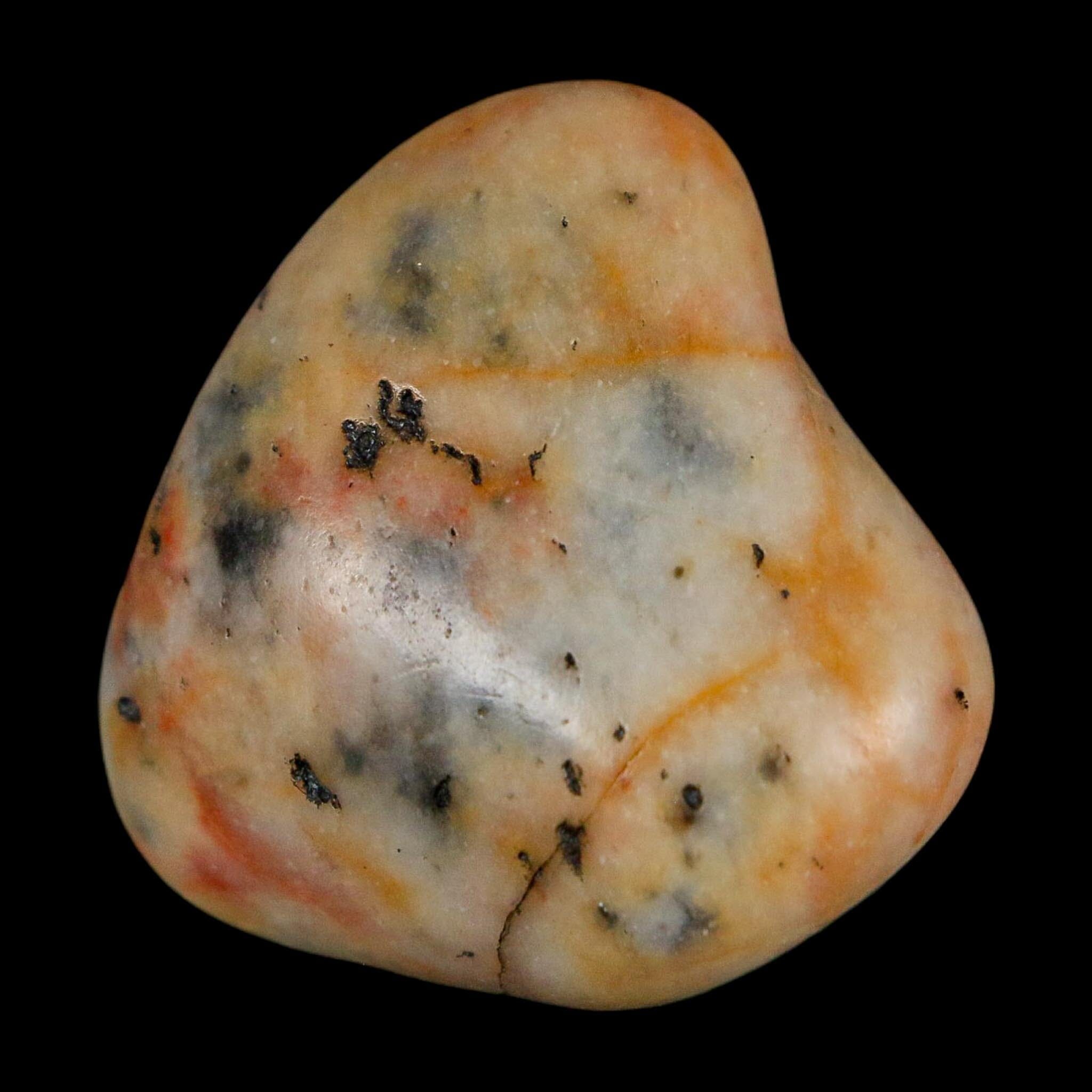 1.3" Sauropod Dinosaur Stomach Stone Gastrolith Rock Gizzard Stone COA - Fossil Age Minerals