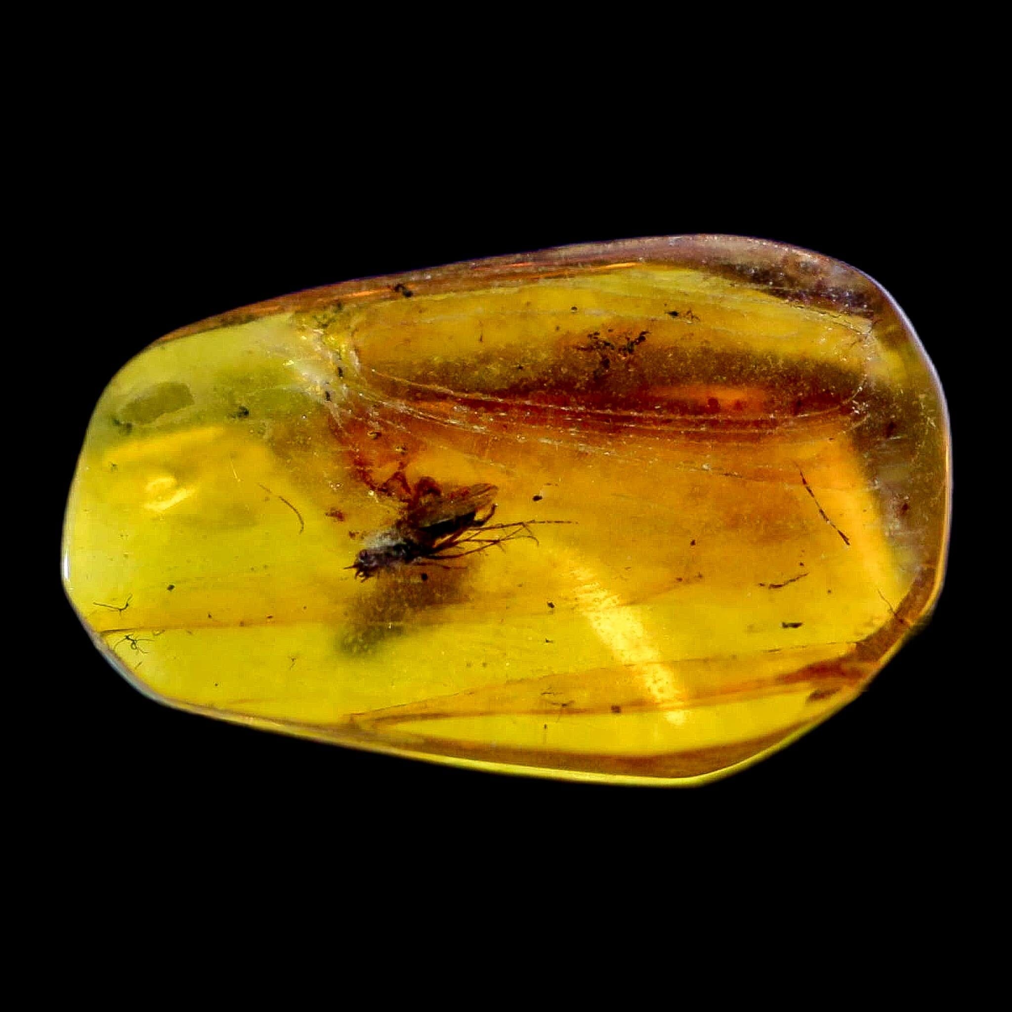Burmese Insect Amber Unknown Flying Fossil Cretaceous Bermite Dinosaur Age - Fossil Age Minerals