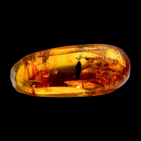 Burmese Insect Amber Coleoptera Beetle Bug Fossil Cretaceous Bermite Dinosaur Age - Fossil Age Minerals