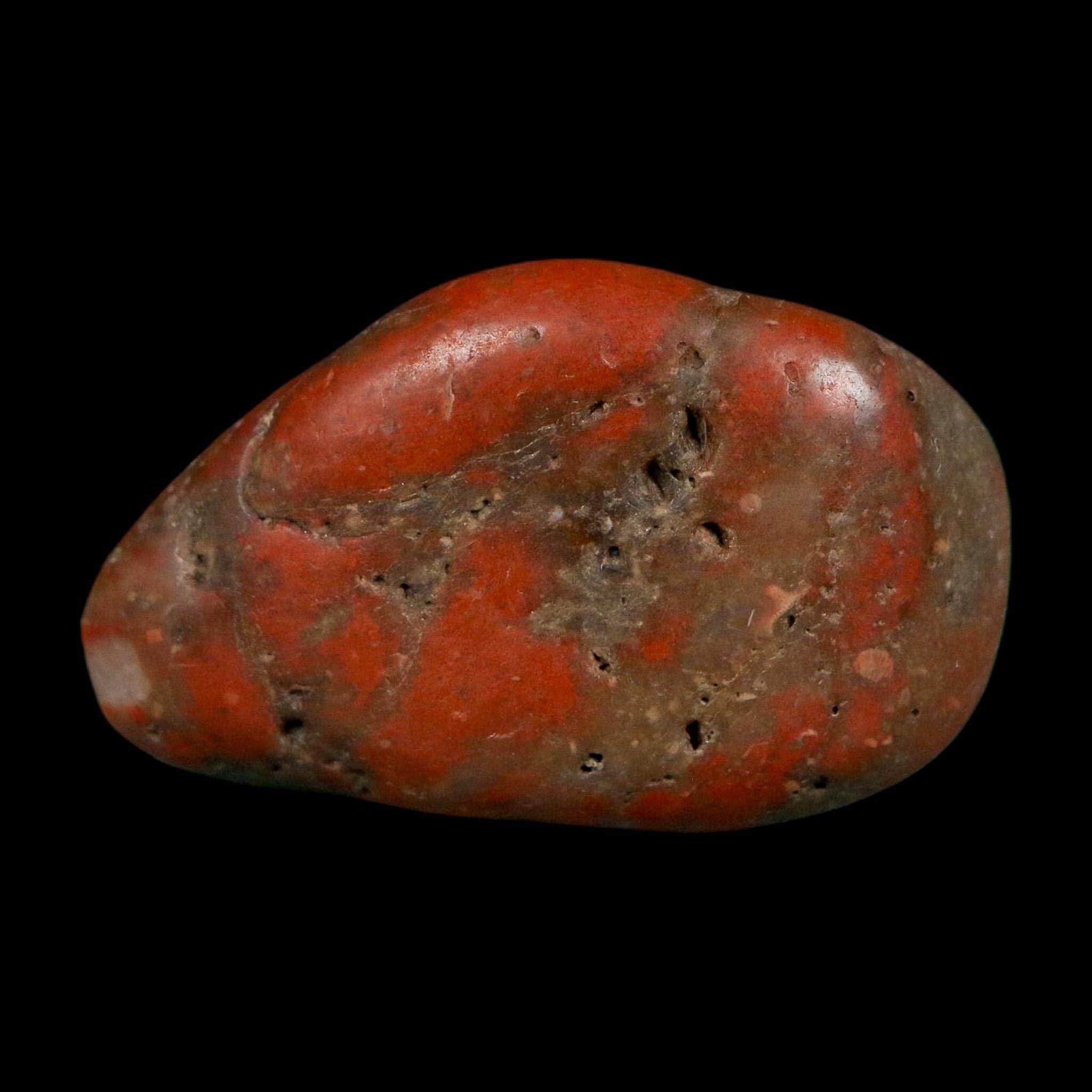 1.7" Sauropod Dinosaur Stomach Stone Gastrolith Rock Gizzard Stone COA - Fossil Age Minerals