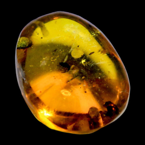 Burmese Insect Amber Coleoptera Beetles Bug Fossil Cretaceous Bermite Dinosaur Age - Fossil Age Minerals