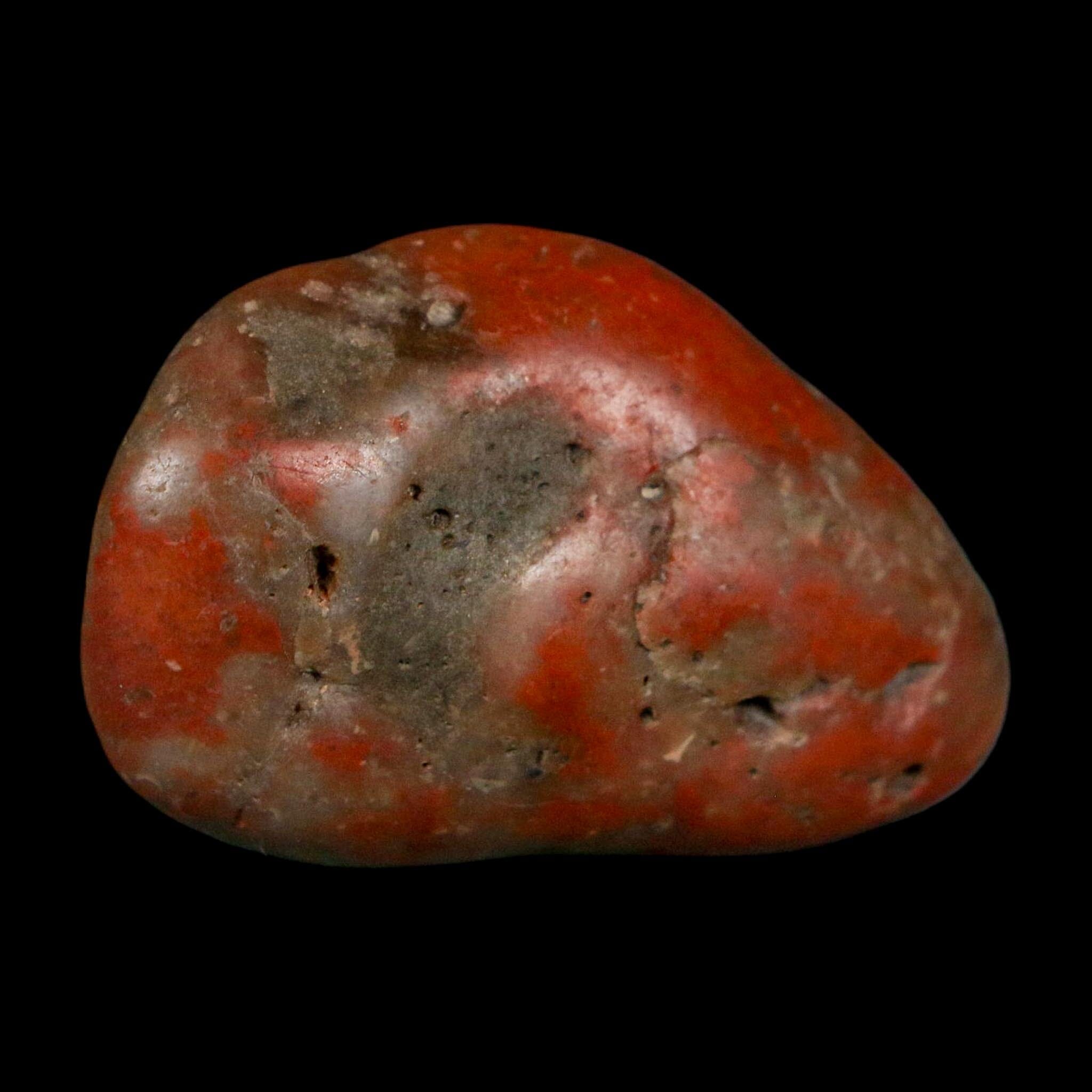 1.7" Sauropod Dinosaur Stomach Stone Gastrolith Rock Gizzard Stone COA - Fossil Age Minerals