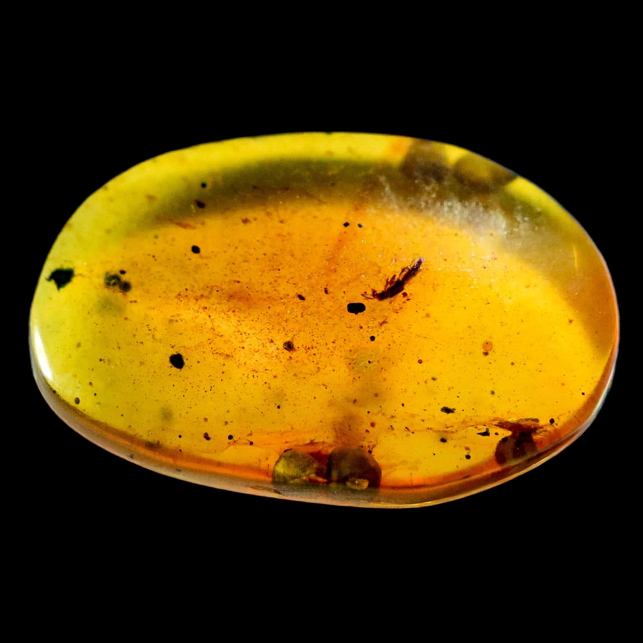 Burmese Insect Amber Unknown Flying Fossil Cretaceous Bermite Dinosaur Age - Fossil Age Minerals