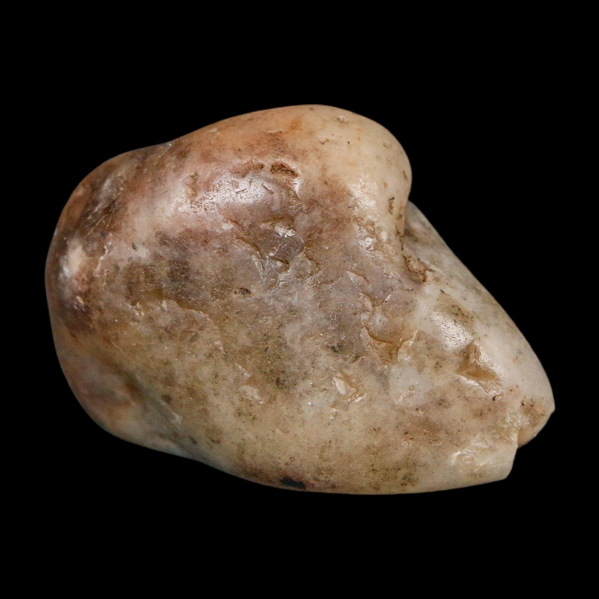 2" Sauropod Dinosaur Stomach Stone Gastrolith Rock Gizzard Stone COA - Fossil Age Minerals