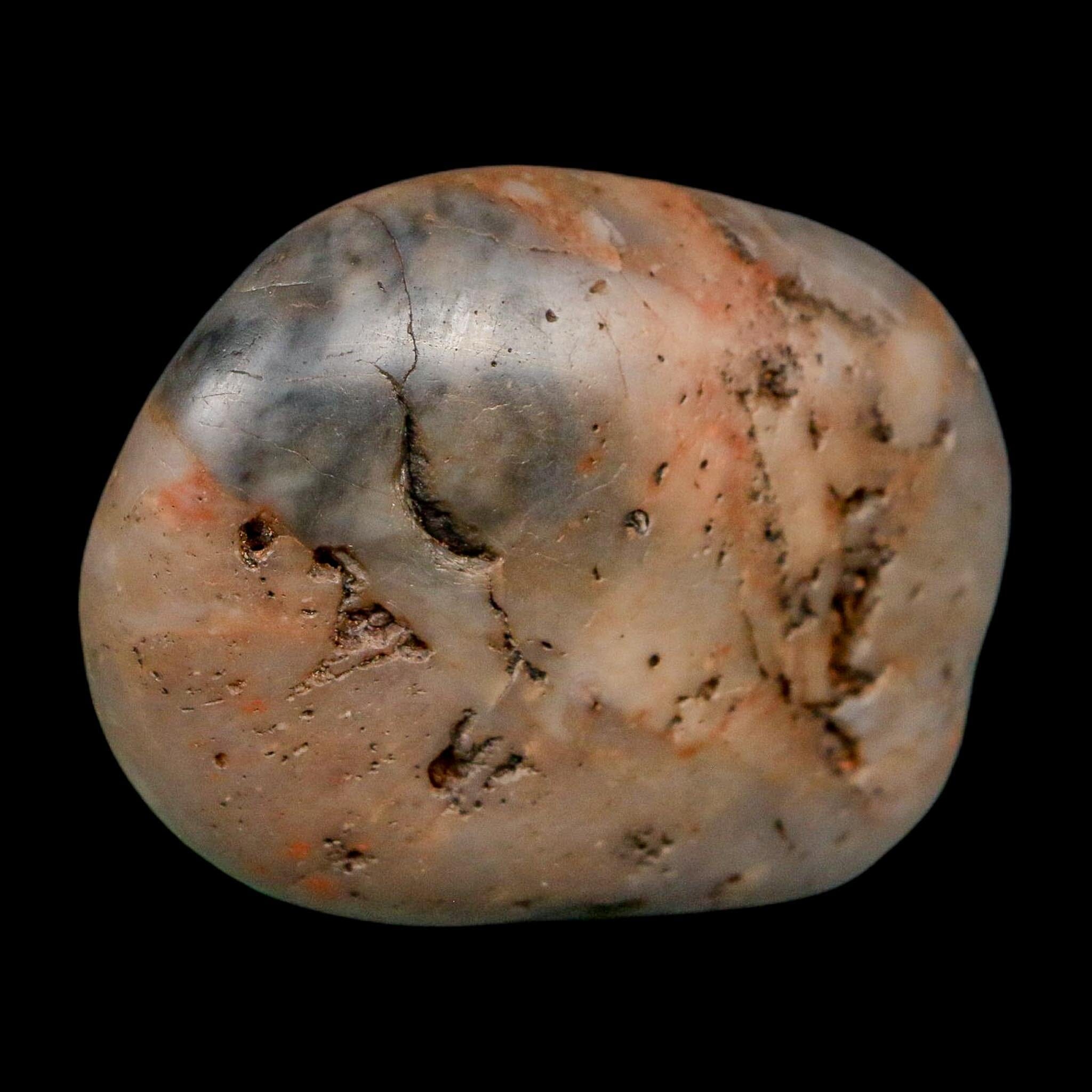 1.9" Sauropod Dinosaur Stomach Stone Gastrolith Rock Gizzard Stone COA - Fossil Age Minerals