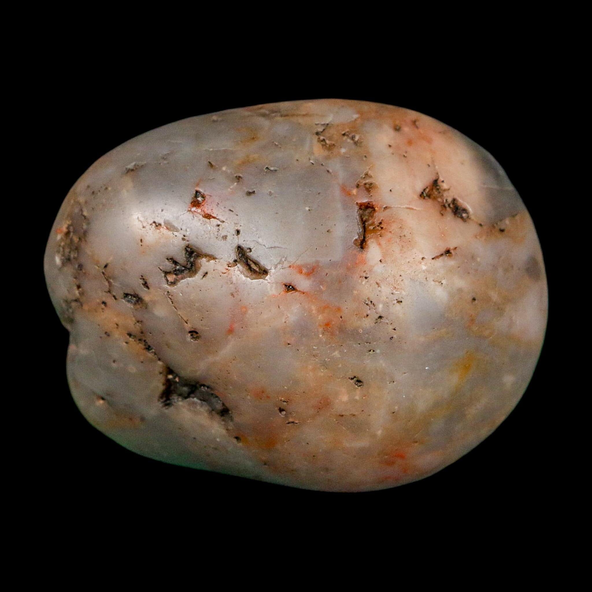 1.9" Sauropod Dinosaur Stomach Stone Gastrolith Rock Gizzard Stone COA - Fossil Age Minerals