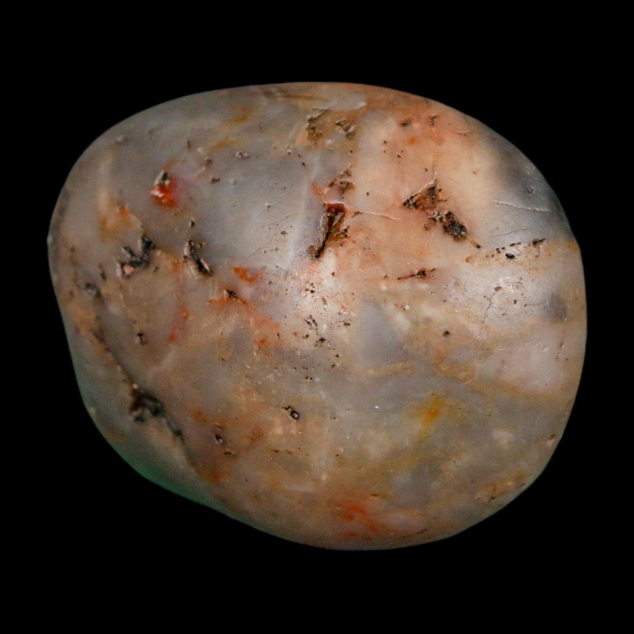 1.9" Sauropod Dinosaur Stomach Stone Gastrolith Rock Gizzard Stone COA - Fossil Age Minerals