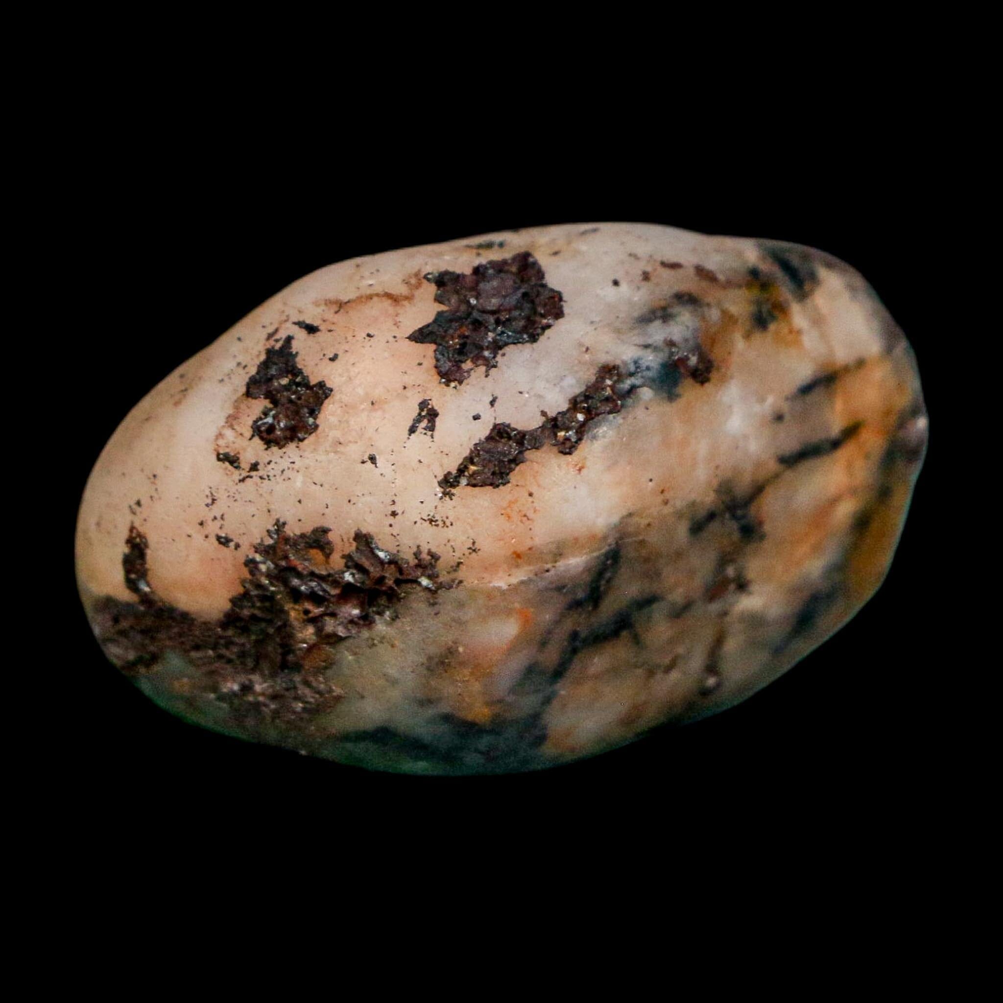 1.4" Sauropod Dinosaur Stomach Stone Gastrolith Rock Gizzard Stone COA - Fossil Age Minerals