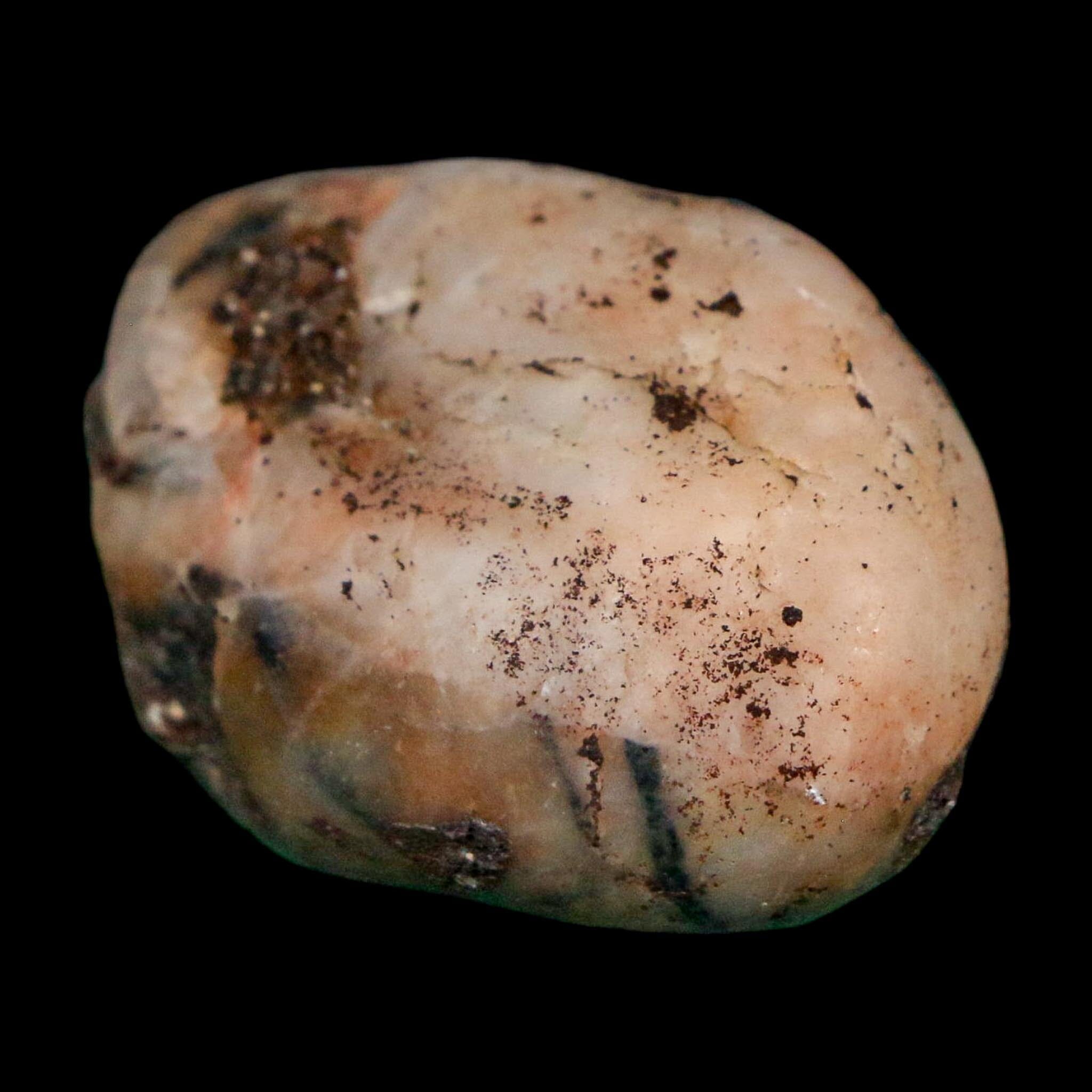 1.4" Sauropod Dinosaur Stomach Stone Gastrolith Rock Gizzard Stone COA - Fossil Age Minerals