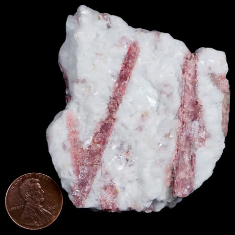 2.7" Natural Rough Pink Tourmaline on Crystal Quartz Mineral Specimen Brazil - Fossil Age Minerals