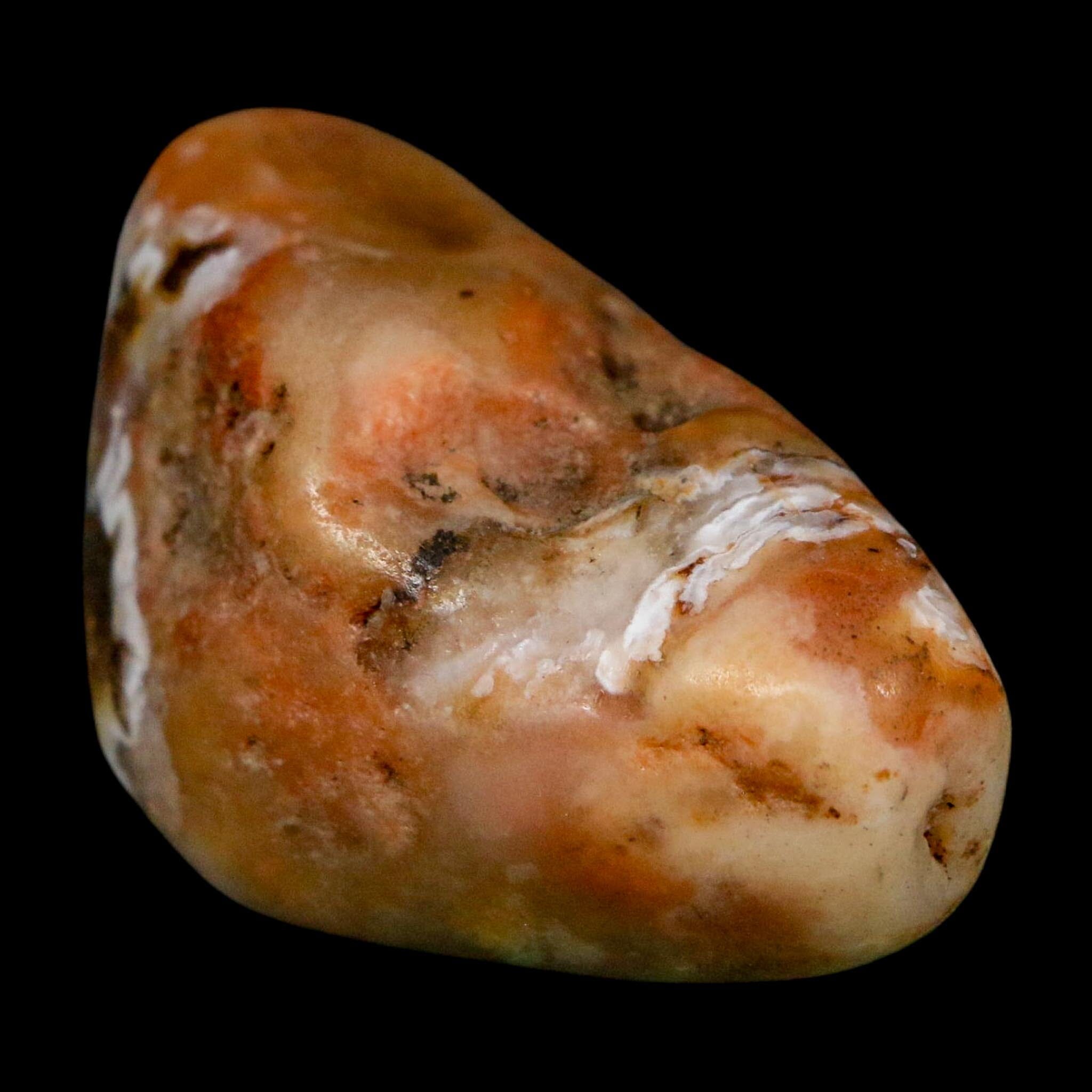 1.8" Sauropod Dinosaur Stomach Stone Gastrolith Rock Gizzard Stone COA - Fossil Age Minerals