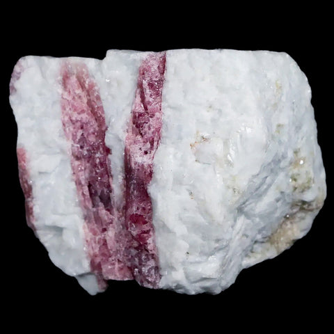 2.3" Natural Rough Pink Tourmaline on Crystal Quartz Mineral Specimen Brazil - Fossil Age Minerals