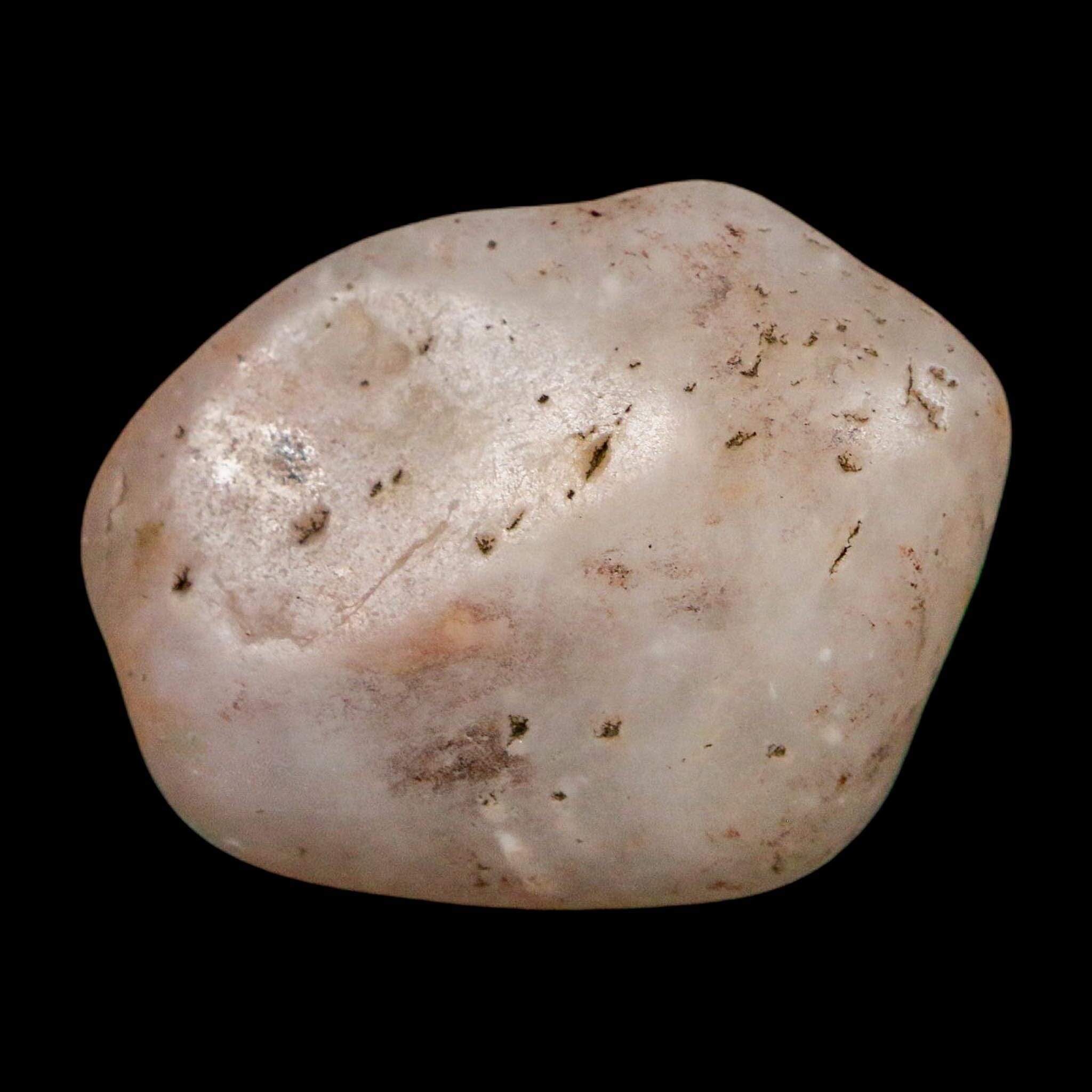 1.6" Sauropod Dinosaur Stomach Stone Gastrolith Rock Gizzard Stone COA - Fossil Age Minerals