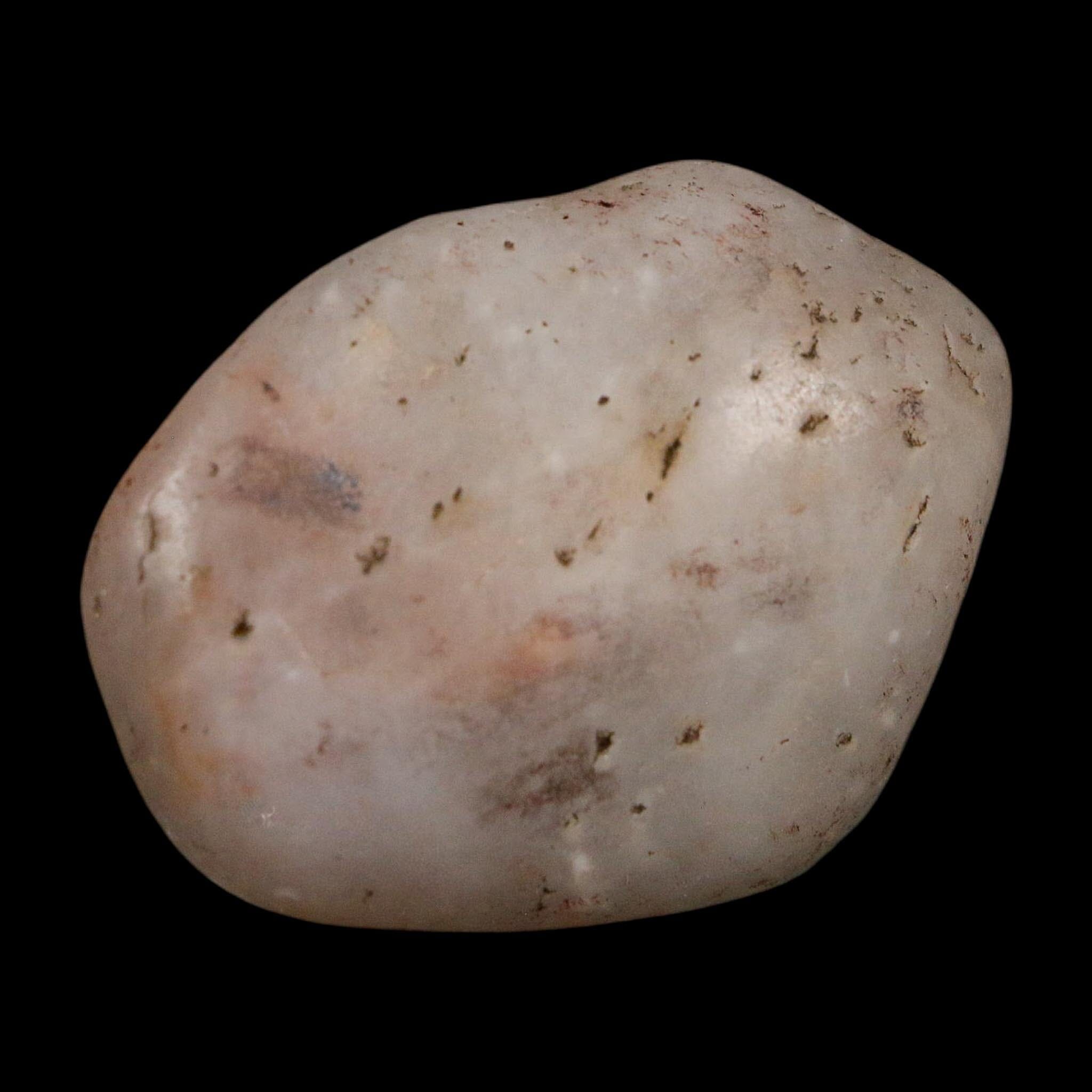 1.6" Sauropod Dinosaur Stomach Stone Gastrolith Rock Gizzard Stone COA - Fossil Age Minerals