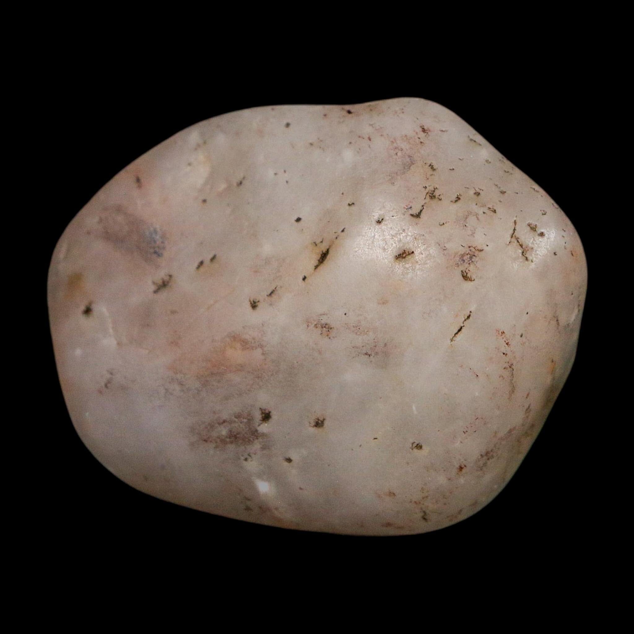 1.6" Sauropod Dinosaur Stomach Stone Gastrolith Rock Gizzard Stone COA - Fossil Age Minerals